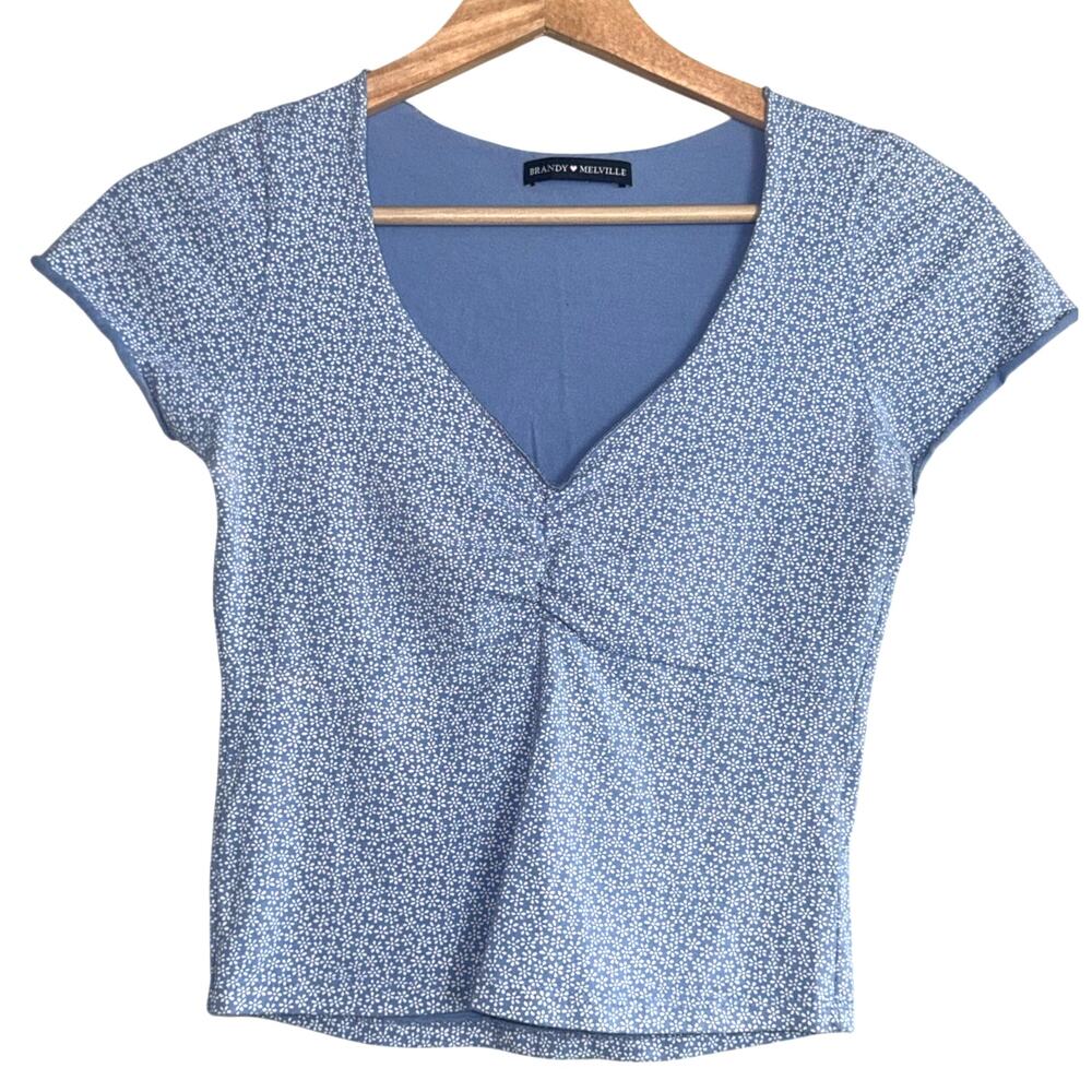 Brandy Melville Blue Floral Crop Top | Y2K Cottagecore Summer Tee One Size
